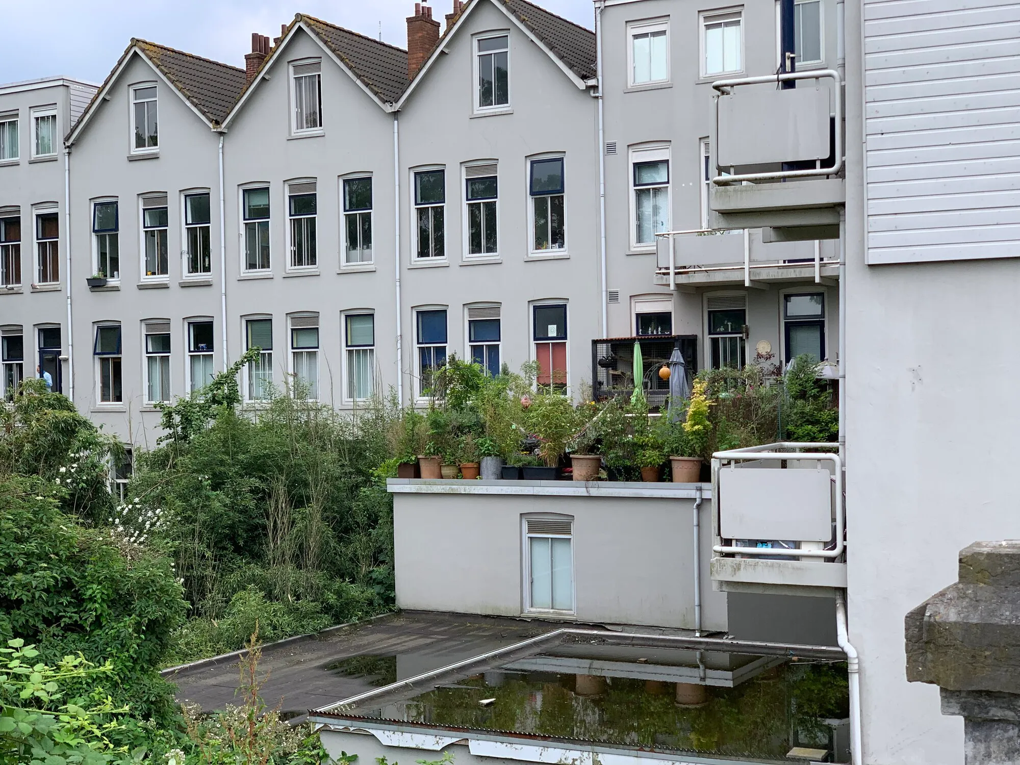 Another great green terrace with many plants