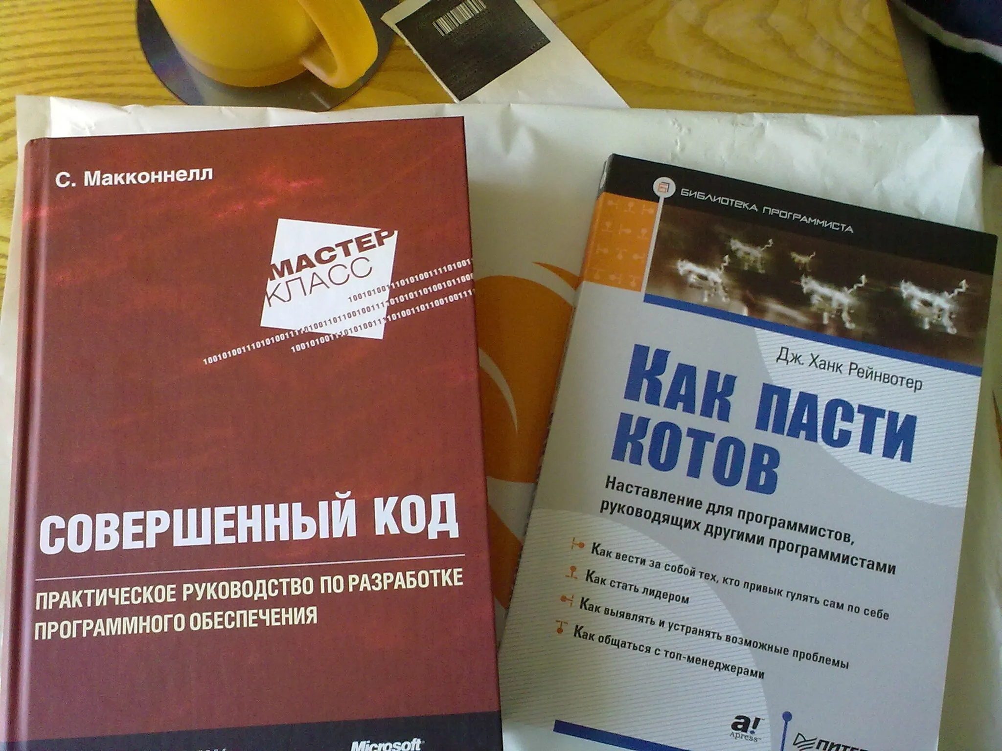 Photo of Steve McConnell's "Complete Code" and J. Hank Rainwater's "Herding Cats" books