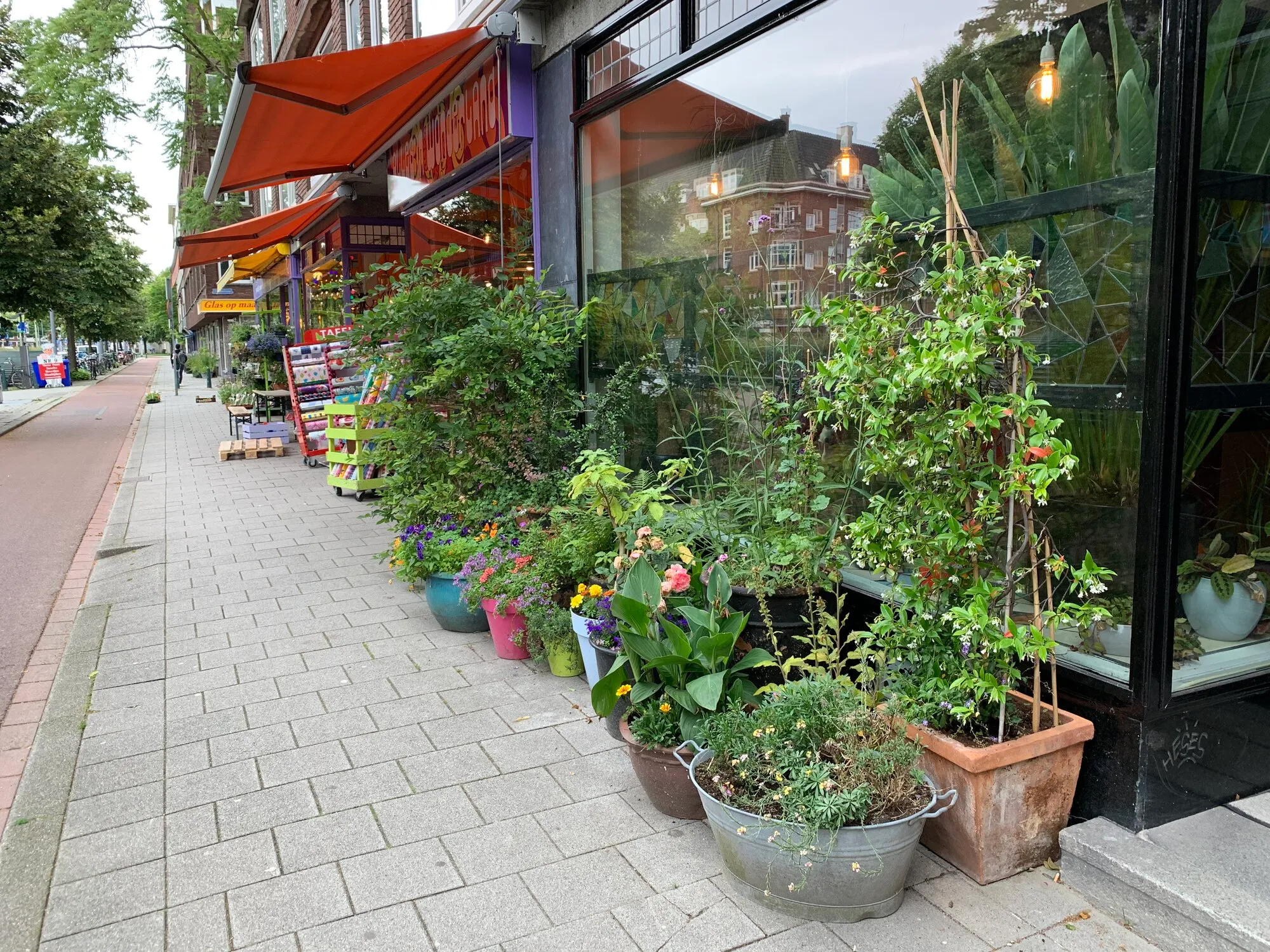 A lot of different plants in different pots on the street of Rotterdam residential area