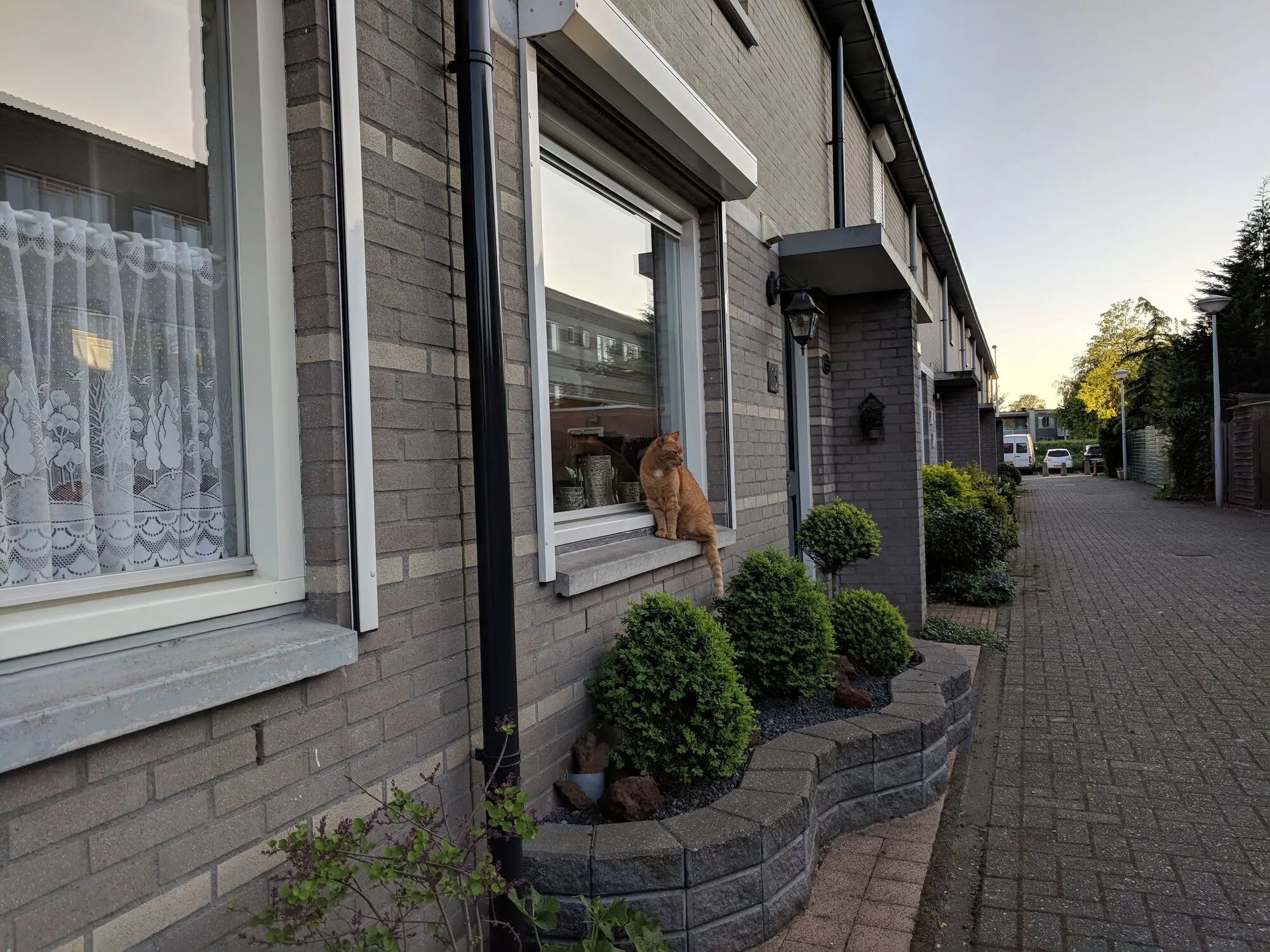 A cat sitting on the window of a small townhouse