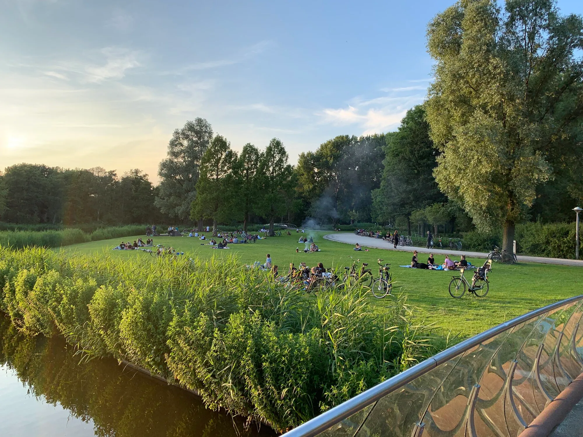 People are having picnics and enjoying time in a park