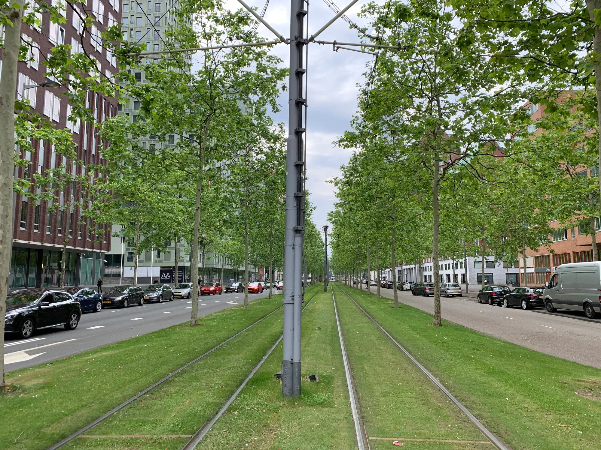 Empty tram rails and lawn between them