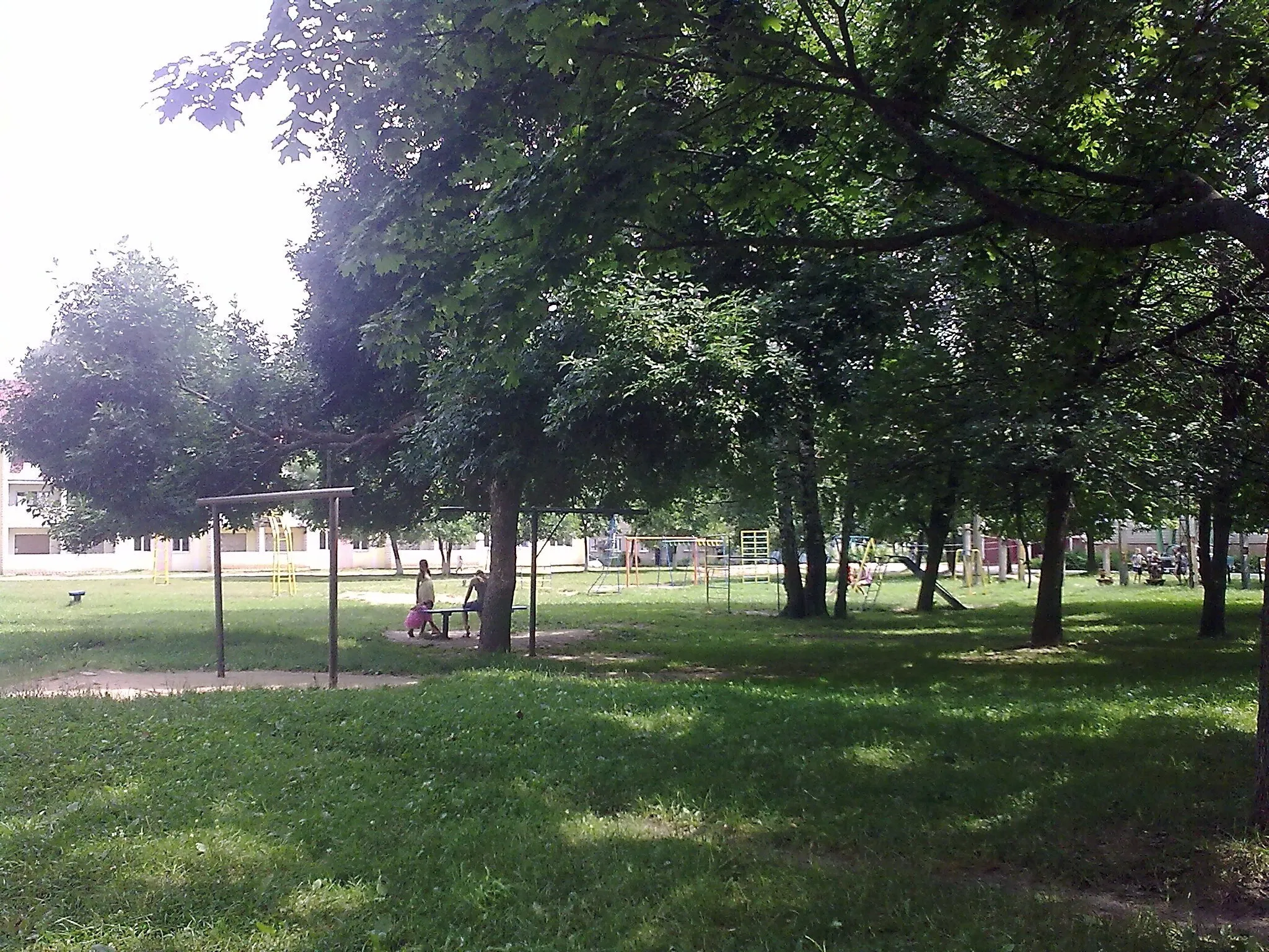 City block yard with grass and trees